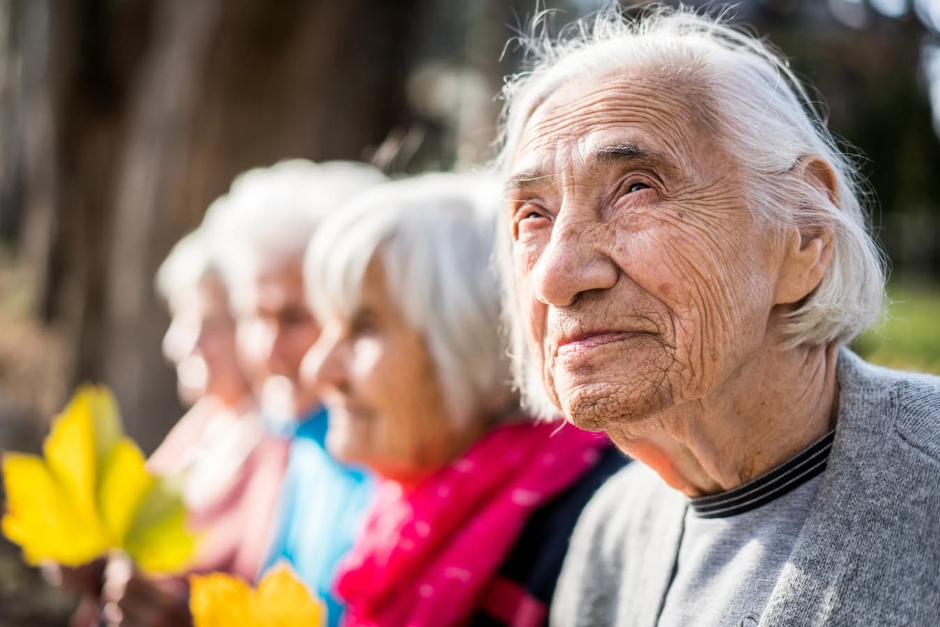 Señales Tempranas a Tener en Cuenta